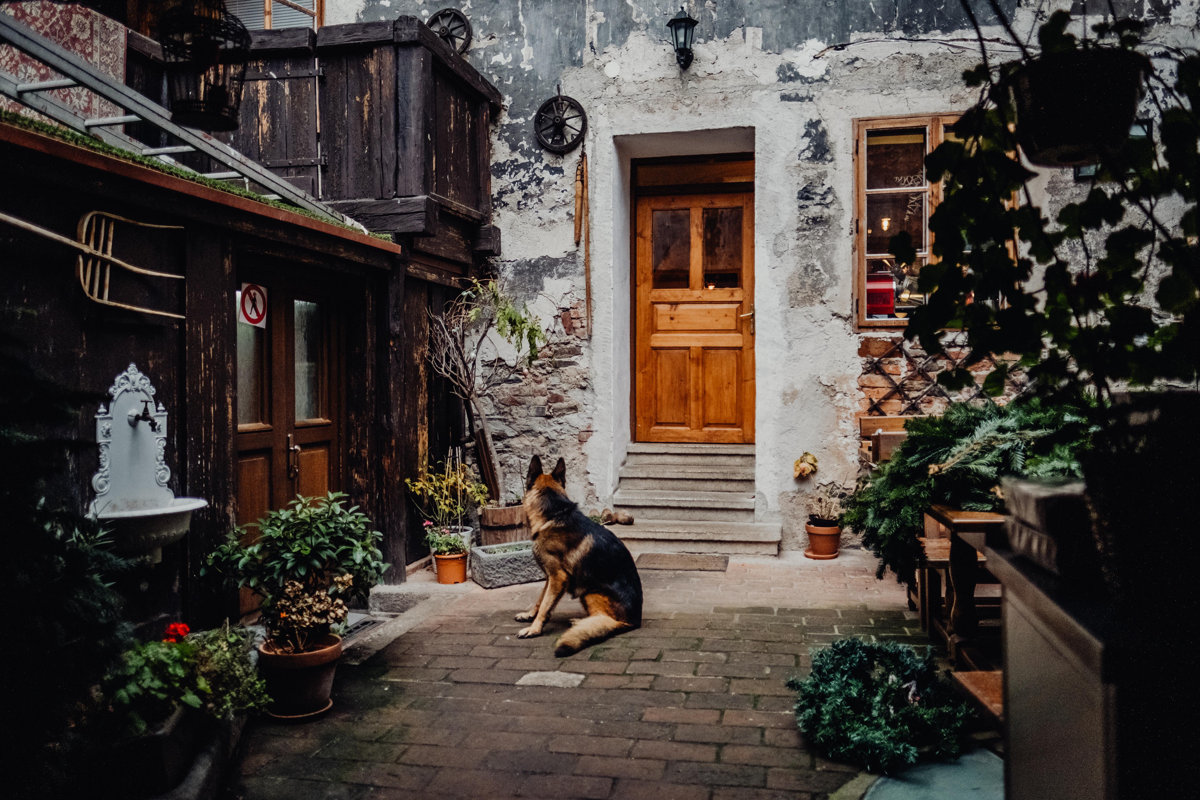 فندق كروملوفسكا بهادكا Český Krumlov المظهر الخارجي الصورة